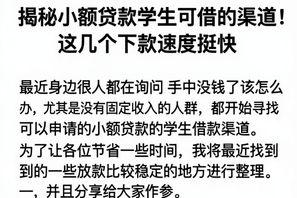 揭秘小额贷款学生可借的渠道，这几个下款速度挺快