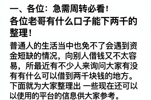 急需周转必看：各位老哥有什么口子能下两千的整理