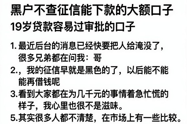 黑户不查征信能下款的大额口子，条列5个19岁贷款容易过审批的口子