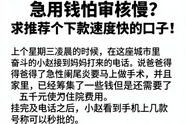 急用钱怕审核慢？求推荐个下款速度快的口子！