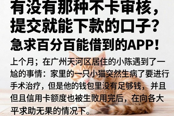 有没有那种不卡审核、提交就能下款的口子？急求百分百能借到的APP！