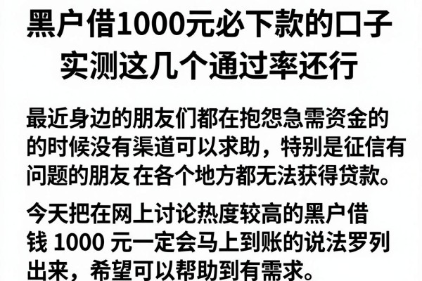 黑户借1000元必下款的口子，实测这几个通过率还行