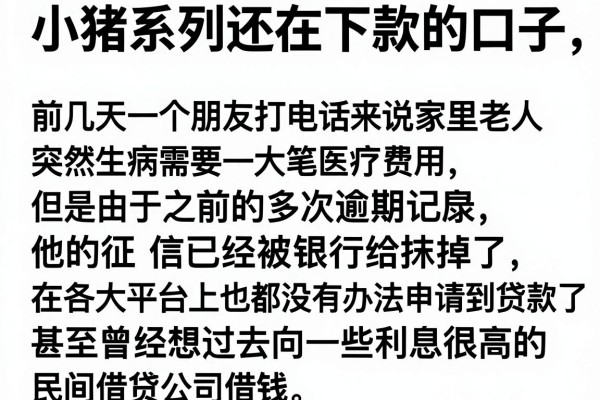 小猪系列还在下款的口子，详细阐述5个支付宝花呗逾期万元快速贷款平台
