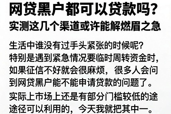 网贷黑户都可以贷款吗？实测这几个渠道或许能解燃眉之急