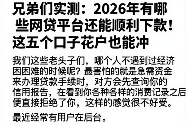 兄弟们实测：2026年有哪些网贷平台还能顺利下款，这五个口子花户也能冲