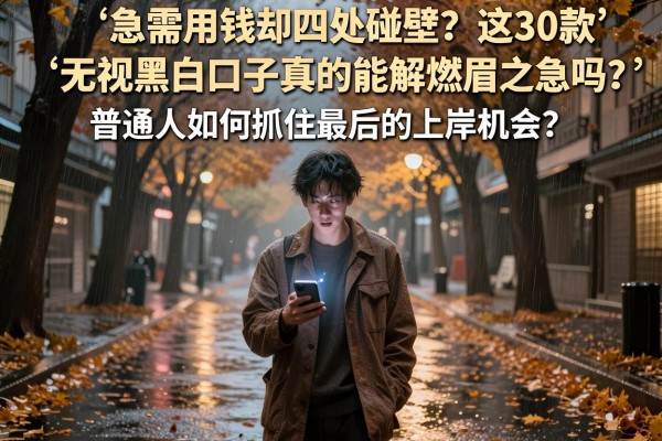 急需用钱却四处碰壁？这30款无视黑白口子真的能解燃眉之急吗？普通人如何抓住最后的上岸机会？