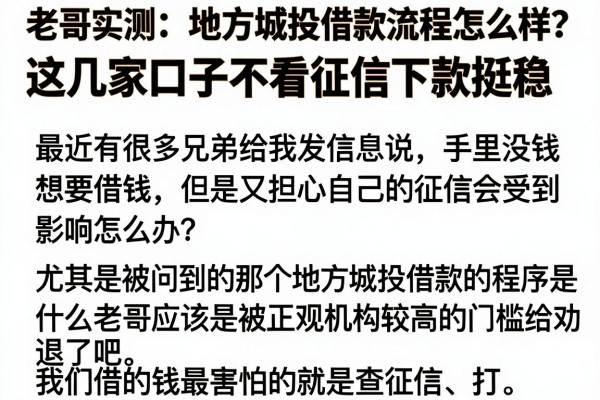 老哥实测：地方城投借款流程怎么样？这几家口子不看征信下款挺稳