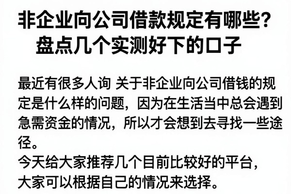 非企业向公司借款规定有哪些？盘点几个实测好下的口子