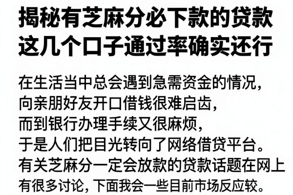 揭秘有芝麻分必下款的贷款，这几个口子通过率确实还行