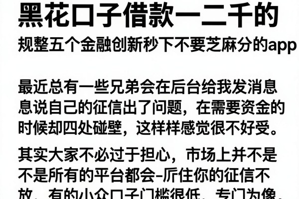 黑花口子借款一二千的，规整五个金融创新秒下不要芝麻分的app