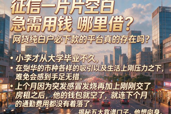 征信一片空白急需用钱哪里借？网贷纯白户必下款的平台真的存在吗？揭秘五大靠谱口子
