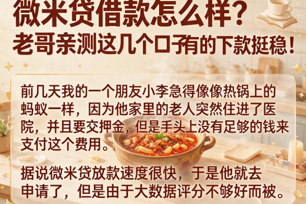 微米贷借款怎么样？老哥亲测这几个口子，有的下款挺稳！