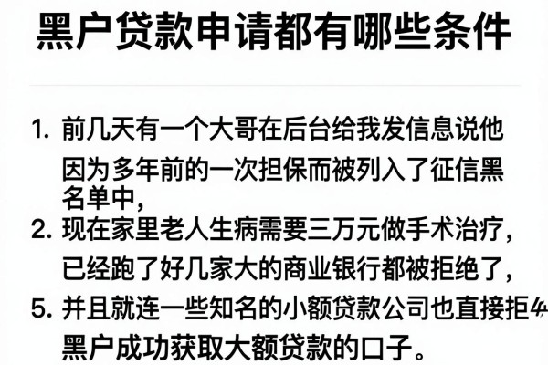 黑户贷款申请都有哪些条件，罗列5个黑户成功获取大额贷款的口子