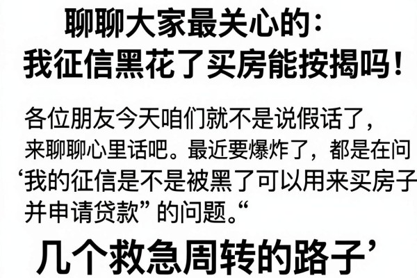 聊聊大家最关心的：我征信黑花了买房能按揭吗，以及几个救急周转的路子