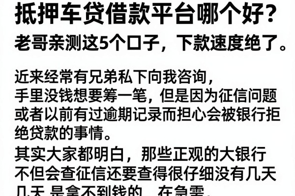抵押车贷借款平台哪个好？老哥亲测这5个口子，下款速度绝了
