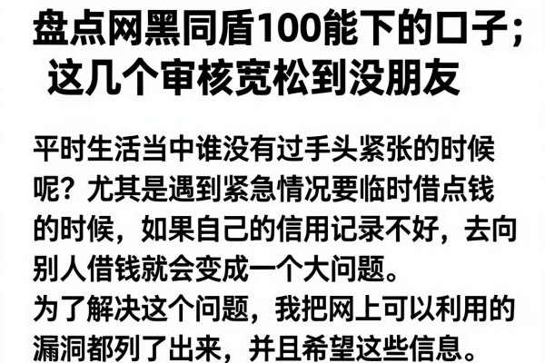盘点网黑同盾100能下的口子，这几个审核宽松到没朋友