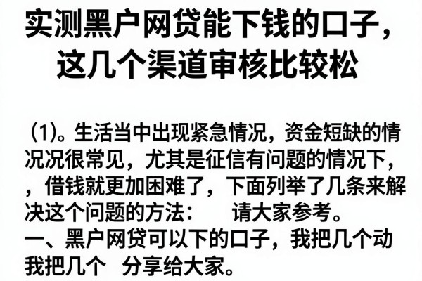 实测黑户网贷能下钱的口子，这几个渠道审核比较松