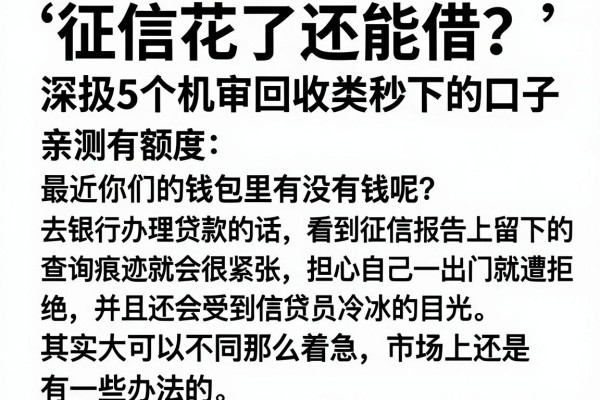 征信花了还能借？深扒5个机审回收类秒下的口子，亲测有额度