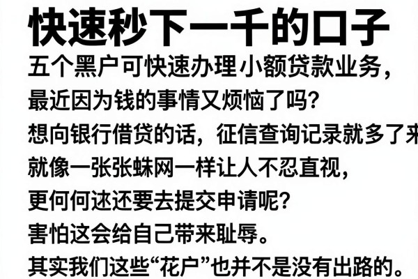 快速秒下一千的口子，详细阐述五个黑户可快速办理小额贷款业务的软件