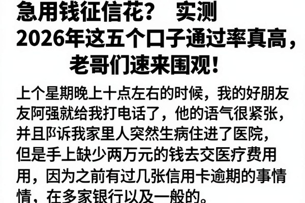 急用钱征信花？实测2026年这五个口子通过率真高，老哥们速来围观！