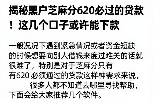 揭秘黑户芝麻分620必过的贷款，这几个口子或许能下款
