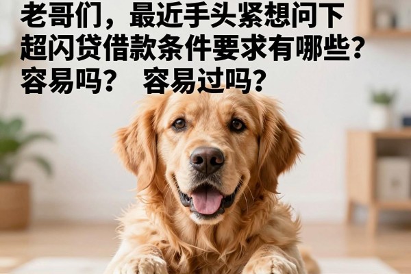 老哥们，最近手头紧想问下超闪贷借款条件要求有哪些？容易过吗？