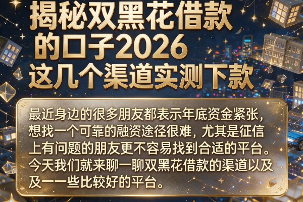揭秘双黑花借款的口子2026，这几个渠道实测下款