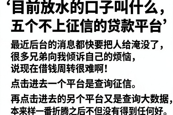 目前放水的口子叫什么，详细阐述五个不上征信的贷款平台