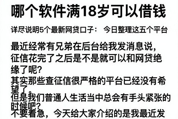 哪个软件满18岁可以借钱，详尽说明5个最新网贷口子今日整理这五个平台