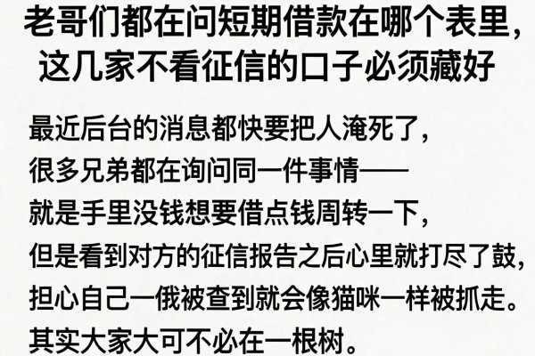 老哥们都在问短期借款在哪个表里，这几家不看征信的口子必须藏好