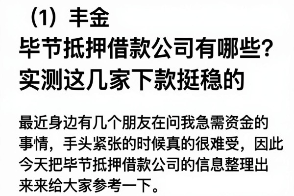 毕节抵押借款公司有哪些？实测这几家下款挺稳的