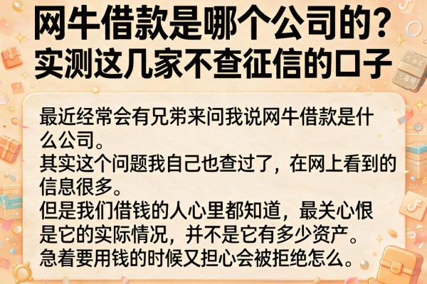 网牛借款是哪个公司的？实测这几家不查征信的口子