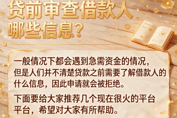 贷前审查借款人哪些信息？整理了几个能下款的