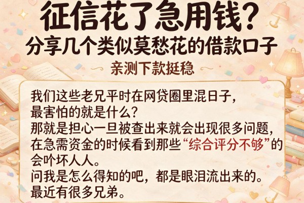 征信花了急用钱？分享几个类似莫愁花的借款口子，亲测下款挺稳