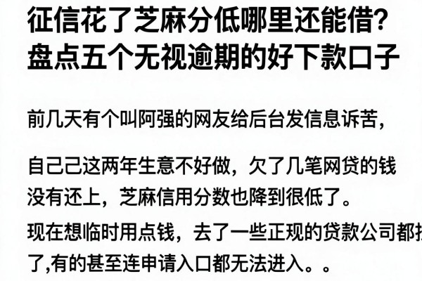征信花了芝麻分低哪里还能借？盘点五个无视逾期的好下款口子