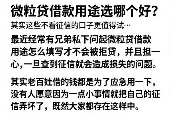 微粒贷借款用途选哪个好?其实这些不看征信的口子更值得试