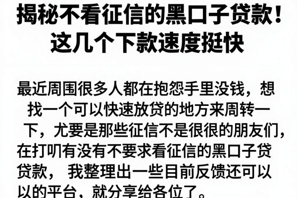 揭秘不看征信的黑口子贷款，这几个下款速度挺快