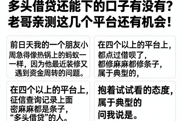 多头借贷还能下的口子有没有？老哥亲测这几个平台还有机会！