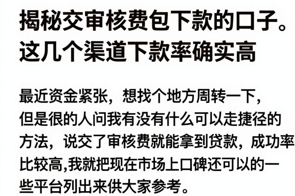 揭秘交审核费包下款的口子，这几个渠道下款率确实高