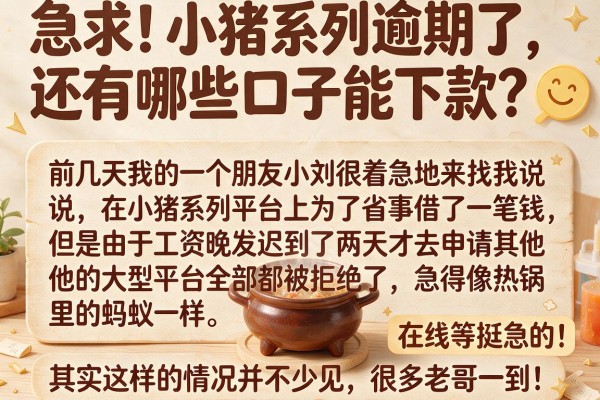 急求！小猪系列逾期了，还有哪些口子能下款？在线等挺急的！