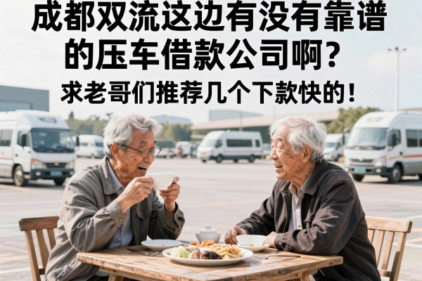 成都双流这边有没有靠谱的压车借款公司啊？求老哥们推荐几个下款快的！