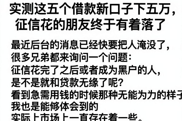 实测这五个借款新口子下五万，征信花的朋友终于有着落了