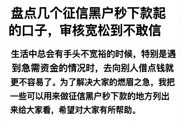 盘点几个征信黑户秒下款的口子，审核宽松到不敢信