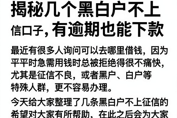 揭秘几个黑白户不上征信口子，有逾期也能下款