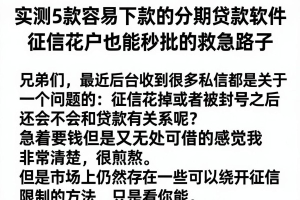 实测5款容易下款的分期贷款软件，征信花户也能秒批的救急路子