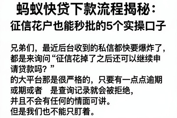 蚂蚁快贷下款流程揭秘：征信花户也能秒批的5个实操口子