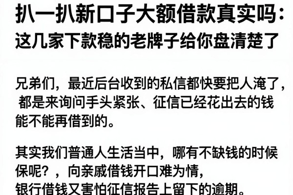 扒一扒新口子大额借款真实吗，这几家下款稳的老牌子给你盘清楚了
