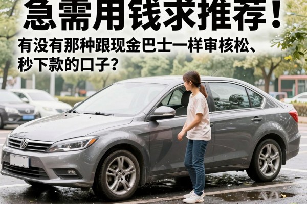 急需用钱求推荐！有没有那种跟现金巴士一样审核松、秒下款的口子？