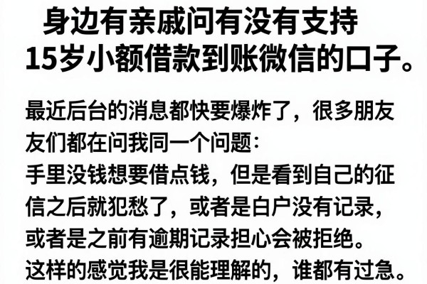 身边有亲戚问有没有支持15岁小额借款到账微信的口子，实测这几家门槛确实松