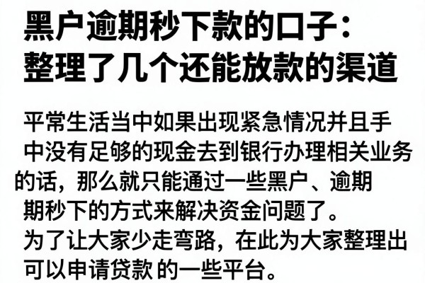 黑户逾期秒下款的口子：整理了几个还能放款的渠道
